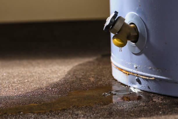 Best Professional water damage repair  in Shady Cove, OR