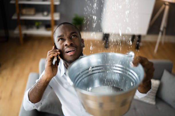 Best Water damage restoration experts  in Shady Cove, OR