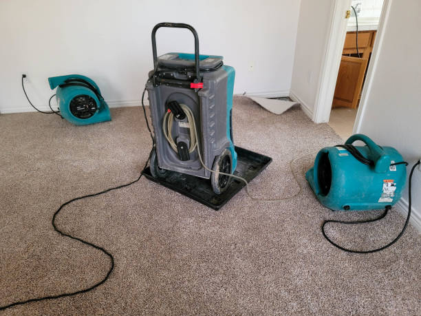 Best Local water damage restoration  in Shady Cove, OR