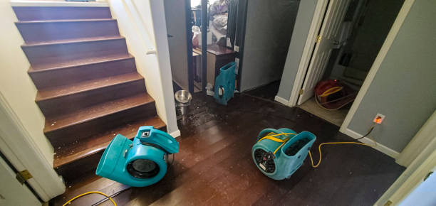Best Water damage restoration near me  in Shady Cove, OR
