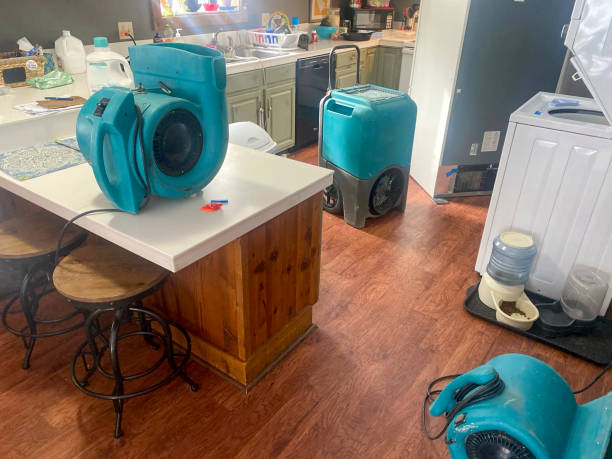 Best 24/7 water damage repair  in Shady Cove, OR