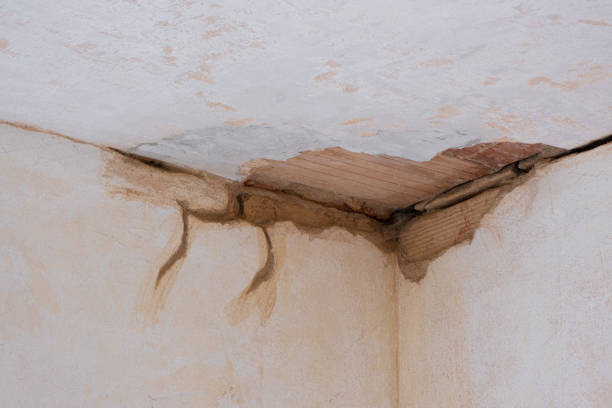  Shady Cove, OR Water damage restoration Pros