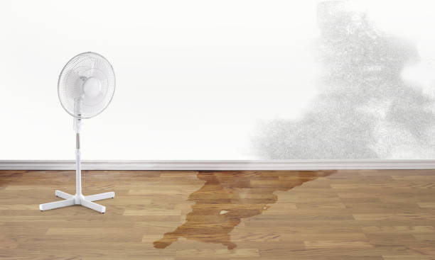 Reliable Shady Cove, OR Water damage restoration Solutions