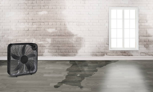 Best Emergency water damage restoration  in Shady Cove, OR