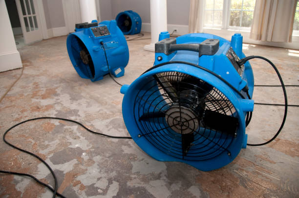 Best Water damage cleanup near me  in Shady Cove, OR
