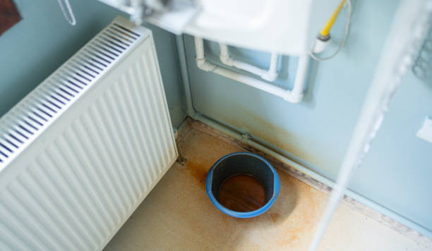 Best Flood damage cleanup  in Shady Cove, OR