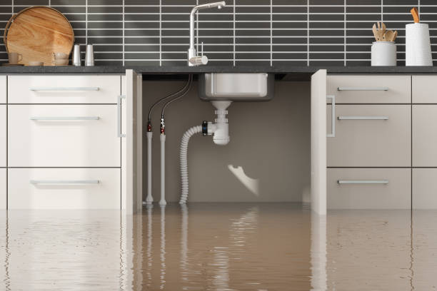 Best Flood restoration services  in Shady Cove, OR