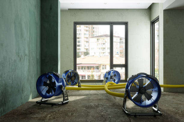 Best Fire Damage Restoration  in Shady Cove, OR