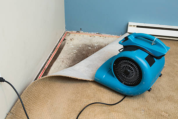 Best Residential water damage restoration  in Shady Cove, OR